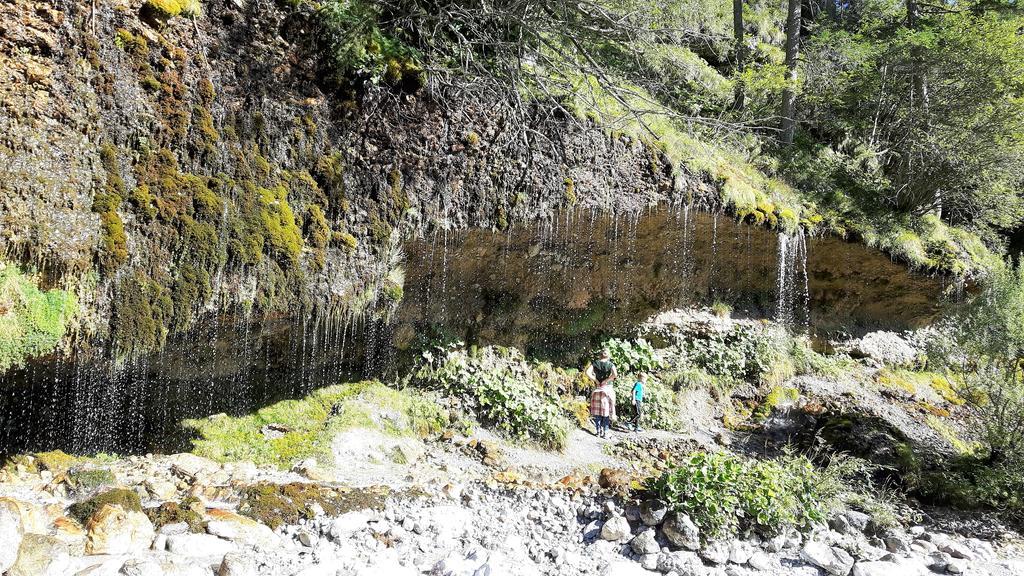 Bio-Bauernhof Hatzbauer Maria Alm am Steinernen Meer Eksteriør billede